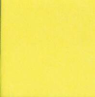 Spültuch/Allzwecktuch | 38 x 38 cm | gelb